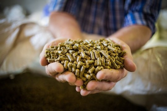Animal Feed