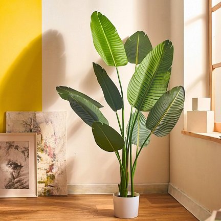 Artificial Plants