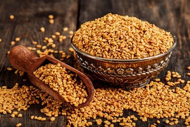 Fenugreek Seed
