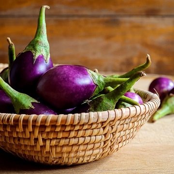 Fresh Brinjal