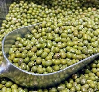 MUNG BEANS