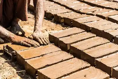 Clay Bricks