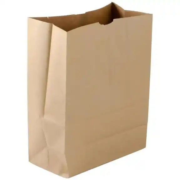 Grocery Bag