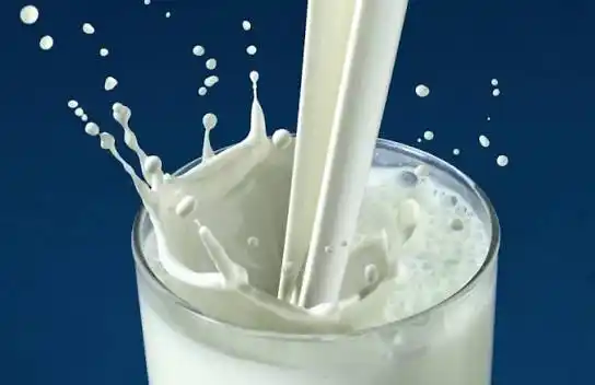 Milk