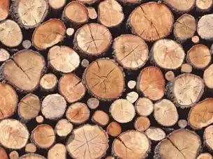 Neem Timber Wood