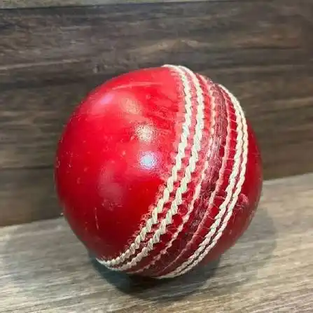 Red Cricket Leather Ball