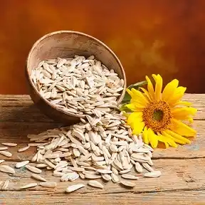 Sunflower Seed