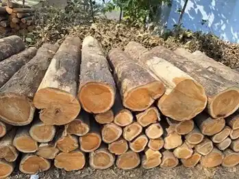 Timber Wood
