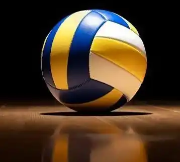 Volleyball