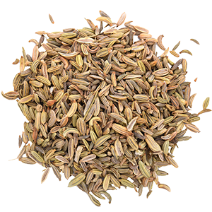 Best Cumin Powder Suppliers in Thane - Worldsindia